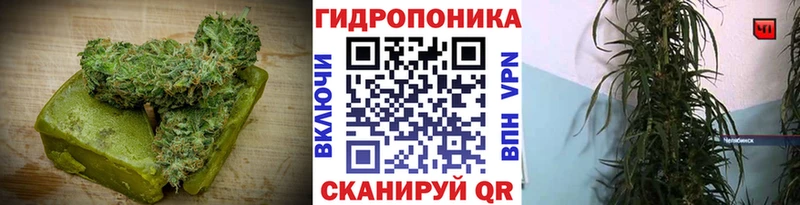 гидра как зайти  Гусев  Cannafood конопля 
