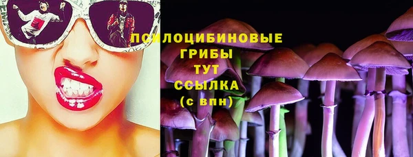 крисы Балахна