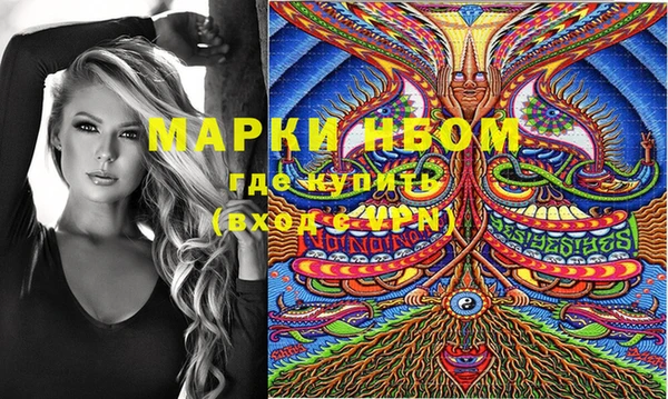 дмт Снежногорск
