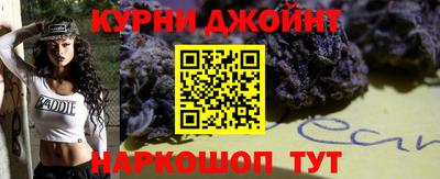 стафф Гай