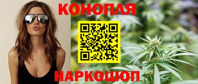 стафф Гай