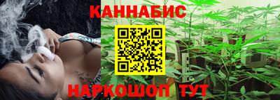 стафф Гай