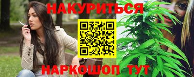 стафф Гай
