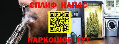 стафф Гай