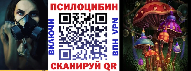 Галлюциногенные грибы Psilocybine cubensis  Гусев 