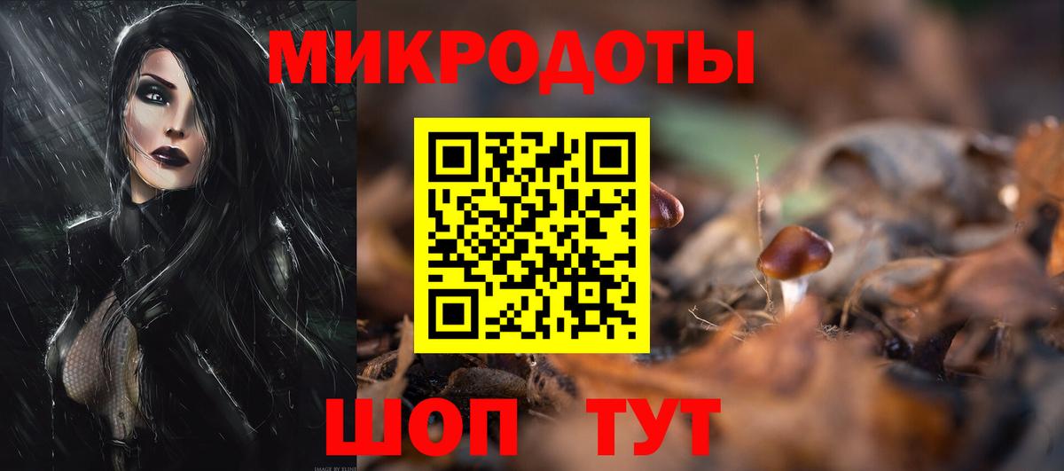 Гусев  закладки  Вход с VPN  Галлюциногенные грибы мицелий 
