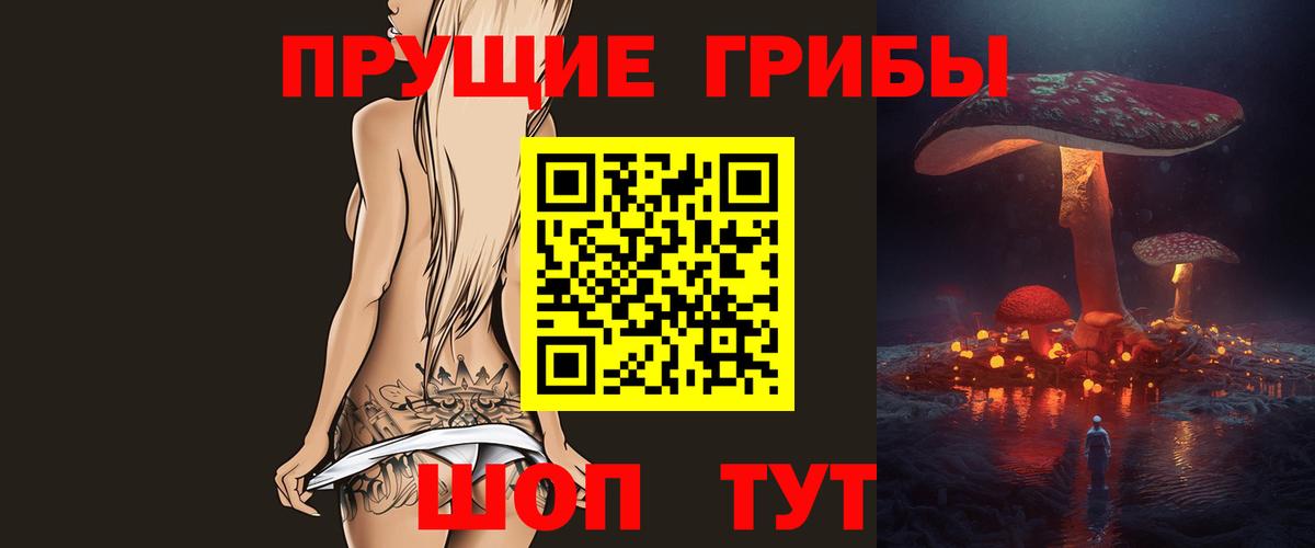 Галлюциногенные грибы Psilocybine cubensis Гусев