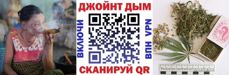 Канабис планчик  Гусев 
